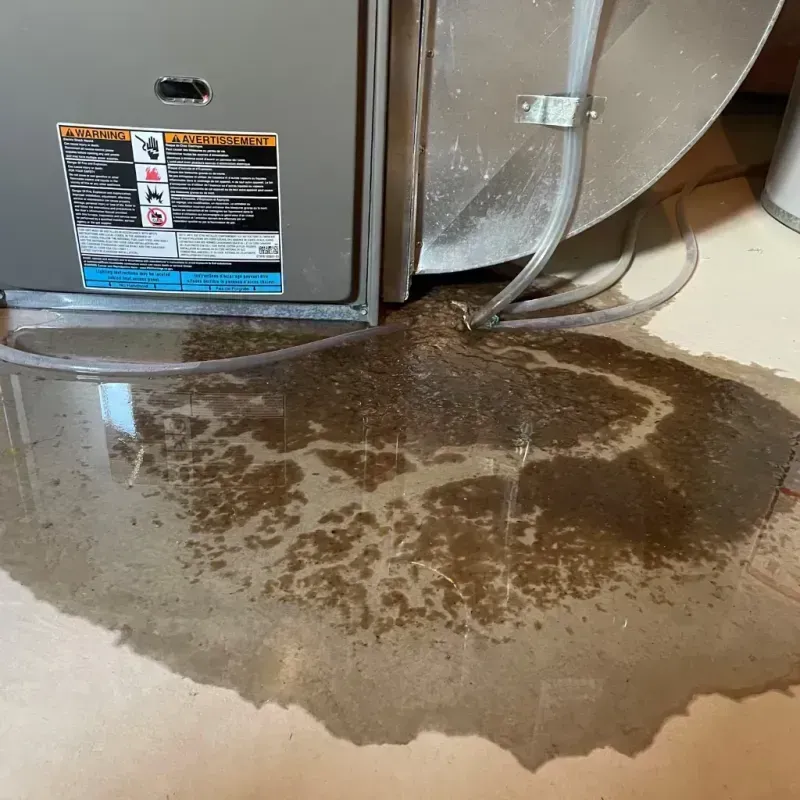 Appliance Leak Cleanup in Brisbane, CA